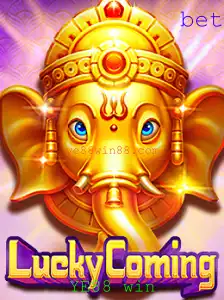Descubra o Fascinante Mundo de LuckyComing